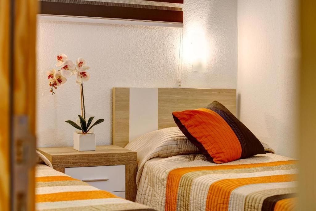 Elefantes House Apartment
